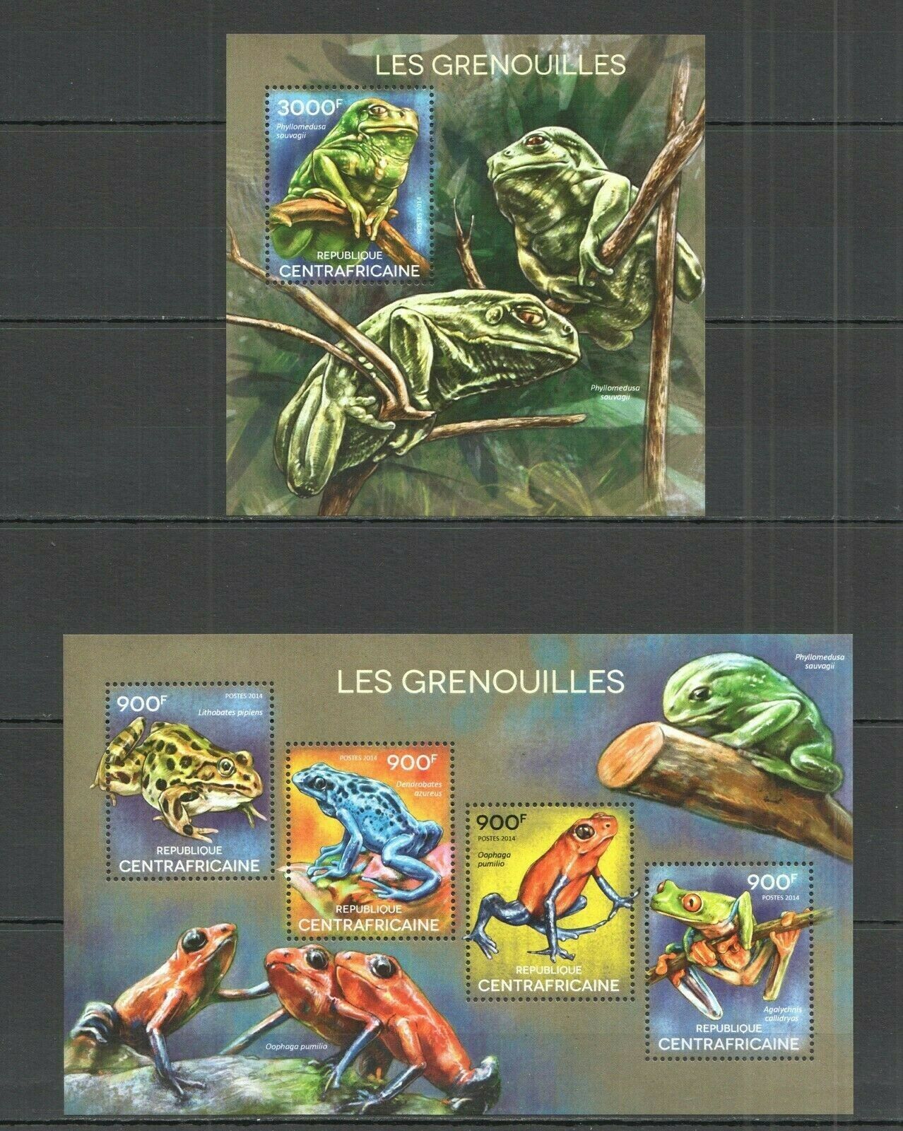 Ca503 2014 Central Africa Fauna Reptiles Frogs Les Grenouilles Kb+bl Mnh